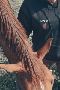 pull, sweat, pull personnalise, pull cavalier, pull cavaliere, pull equestre, vetement equitation, vetement hiver, vetement automne, pull cheval, pull poney, cadeau original, cadeau personnalise, cadeau cavalier