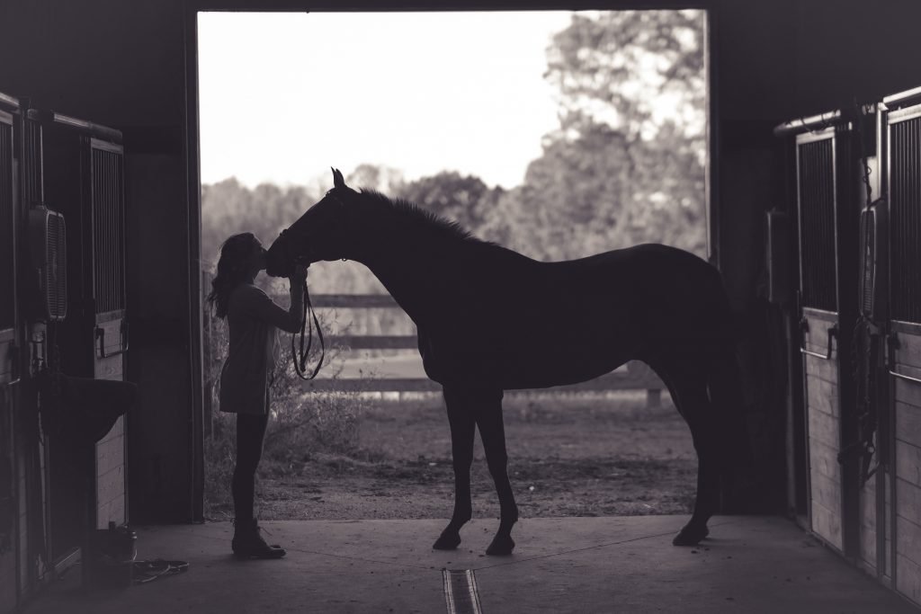 cahier, notebook, planner, agenda, to do list, papeterie, papier, equestre, equin, cavaliere, chevaux, poney