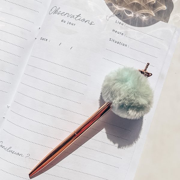 notebook, carnet, observations, notes, equitation, cavaliers, chevaux, horsemanship