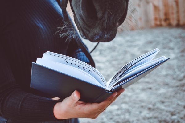 cahier, notebook, planner, agenda, to do list, papeterie, papier, equestre, equin, cavaliere, chevaux, poney