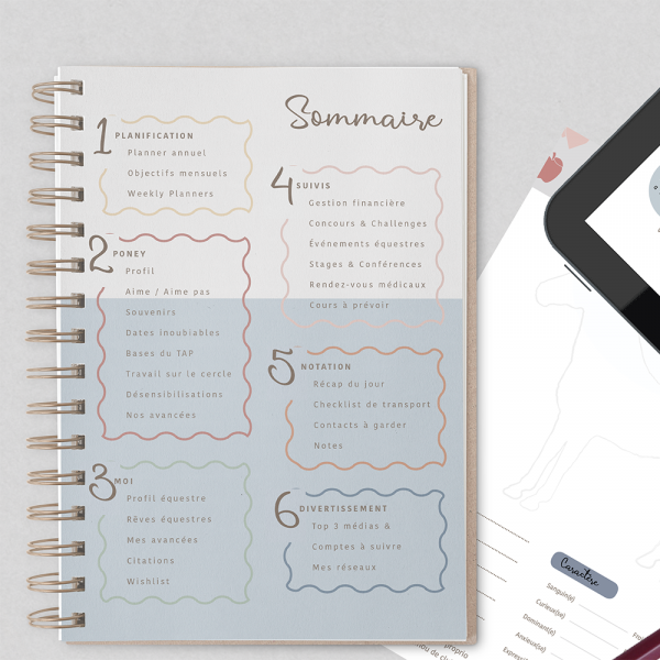 cahier, notebook, planner, equestres, equitation, chevaux, cavaliers, cavaliere, livres, papeterie