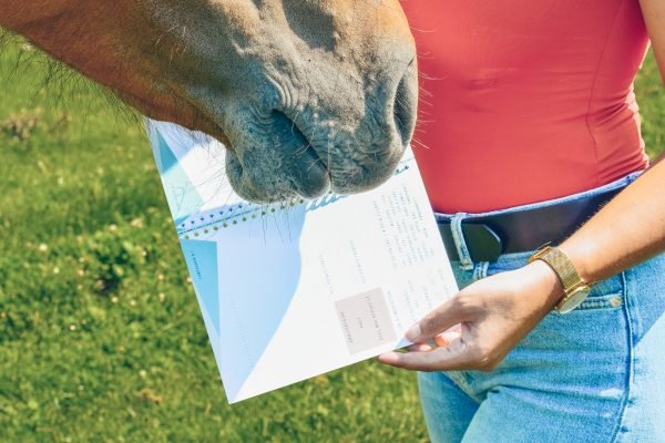 planner equestre, planner equin, equestrian planner, agenda equestre, agenda cheval, proprio chevaux, proprio cheval, cheval a vendre, elevage chevaux, demi-pension chevaux, ecurie proprietaire