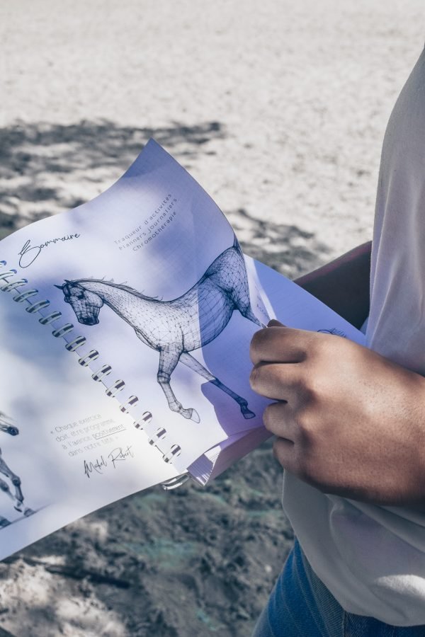 planner equestre, planner equin, equestrian planner, agenda equestre, agenda cheval, proprio chevaux, proprio cheval, cheval a vendre, elevage chevaux, demi-pension chevaux, ecurie proprietaire, planner journalier