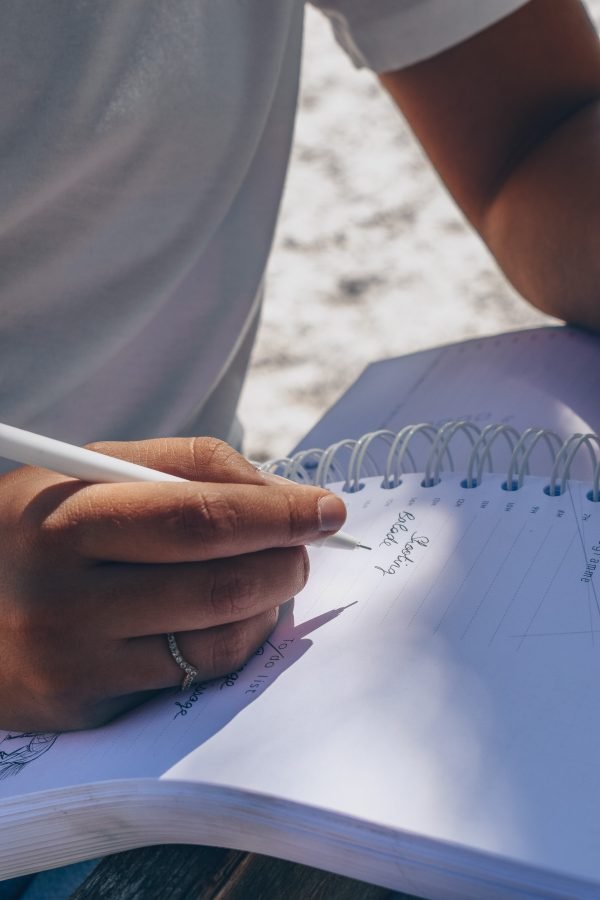 planner equestre, planner equin, equestrian planner, agenda equestre, agenda cheval, proprio chevaux, proprio cheval, cheval a vendre, elevage chevaux, demi-pension chevaux, ecurie proprietaire, planner journalier