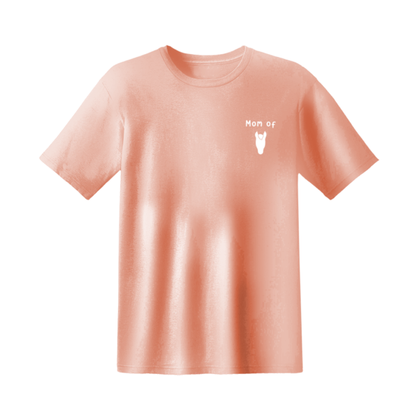 tshirt, t-shirt, t-shirt femme, t-shirt equitation, t-shirt personnalise, t-shirt personnalisable, mode equestre, mode cavaliere, mode equitation, mademoiselle cavaliere, popieandcie,