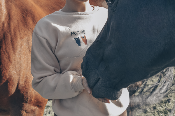 pull, sweat, pull personnalise, pull cavalier, pull cavaliere, pull equestre, vetement equitation, vetement hiver, vetement automne, pull cheval, pull poney, cadeau original, cadeau personnalise, cadeau cavalier