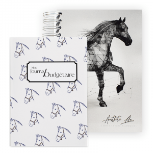 pack planner, papeterie equestre, gestion cheval, gestion poney, proprietaire chevaux, budget, cadeau