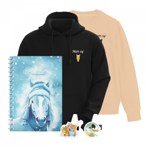 pack equestre, pack equitation, cadeau cavalier, cadeau cavaliere, cadeau fin annee, cadeau noel, cadeau cheval, cadeau poney, cadeau proprietaire cheval, cadeau demi pension, cadeau tier pension, cadeau centre equestre