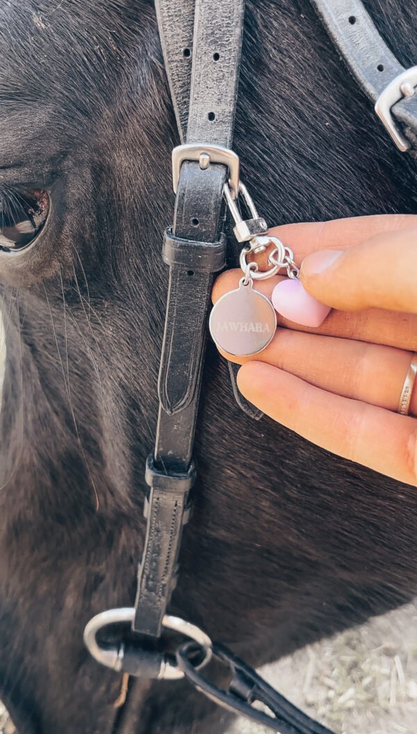 medaillon cheval, medaille cheval, medaille poney, medaillon poney, bijou filet cheval, bijou filet poney, charm dino cheval, licol cheval, licol cob, licol ps