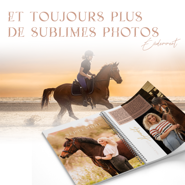 planner equestre, planner equin, equestrian planner, agenda equestre, agenda cheval, proprio chevaux, proprio cheval, cheval a vendre, elevage chevaux, demi-pension chevaux, ecurie proprietaire, planner journalier, unkey de la rose, photographie equestre, photographe cheval