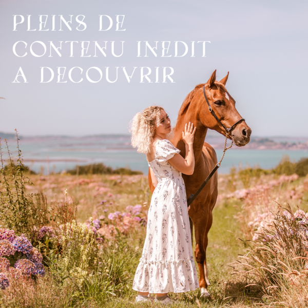 planner equestre, planner equin, equestrian planner, agenda equestre, agenda cheval, proprio chevaux, proprio cheval, cheval a vendre, elevage chevaux, demi-pension chevaux, ecurie proprietaire, planner journalier, unkey de la rose, photographie equestre, photographe cheval