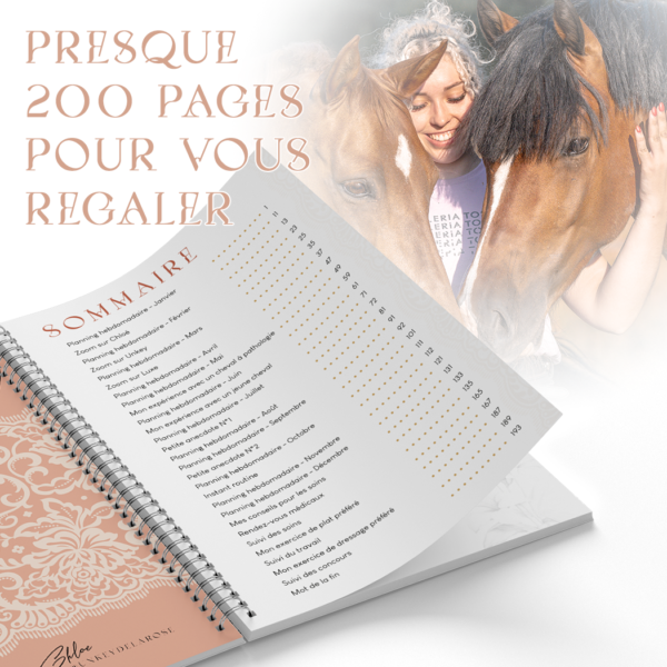 planner equestre, planner equin, equestrian planner, agenda equestre, agenda cheval, proprio chevaux, proprio cheval, cheval a vendre, elevage chevaux, demi-pension chevaux, ecurie proprietaire, planner journalier, unkey de la rose, photographie equestre, photographe cheval